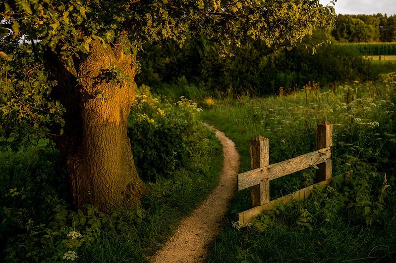 Routes