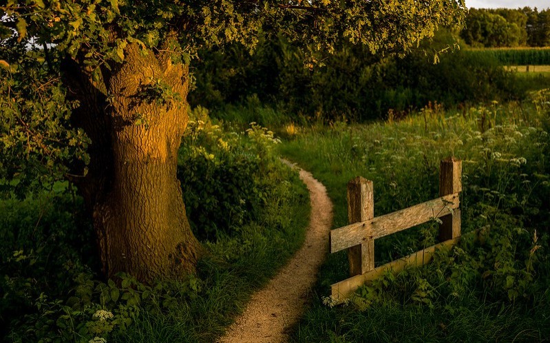 Routes